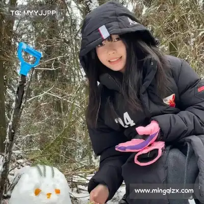 陆冶书